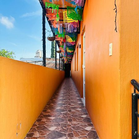 Departamento Maria Concepcion Apartment Tequila Ngoại thất bức ảnh