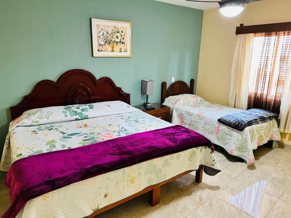 Departamento Maria Concepcion Apartment Tequila Ngoại thất bức ảnh